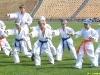 2011-karate1